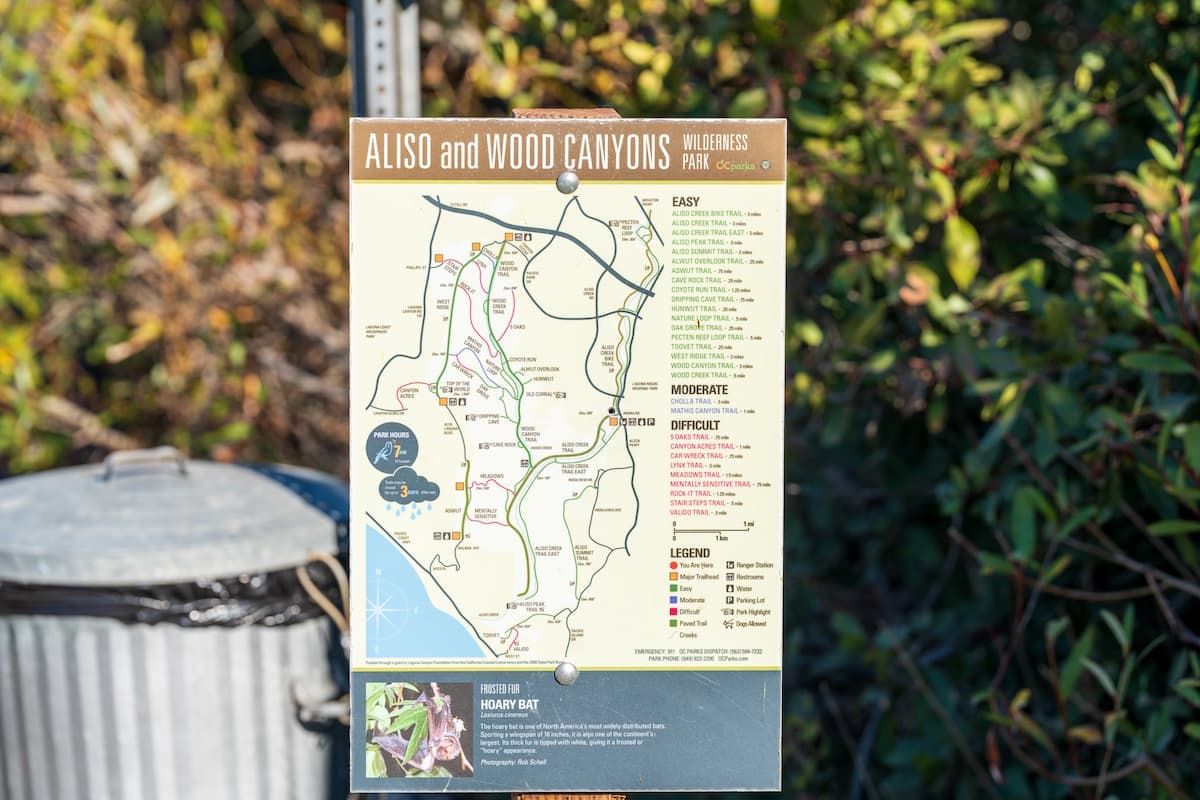 Aliso and Wood Canyons Wilderness Park